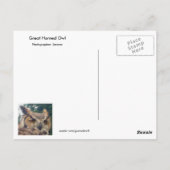 Briefkaart van de grote orkaan (Achterkant)