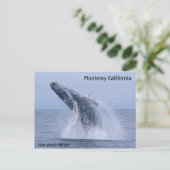 Briefkaart van de grote walvis (Staand voorkant)