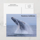 Briefkaart van de grote walvis (Voorkant / Achterkant)