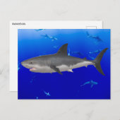 Briefkaart van de grote witte haai (Voorkant / Achterkant)