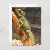 Briefkaart van de hagedis die de boom beklimmen (Voorkant / Achterkant)