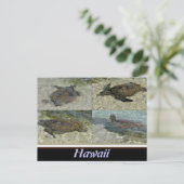 Briefkaart van de Hawaiitische Zee (Staand voorkant)