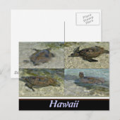 Briefkaart van de Hawaiitische Zee (Voorkant / Achterkant)