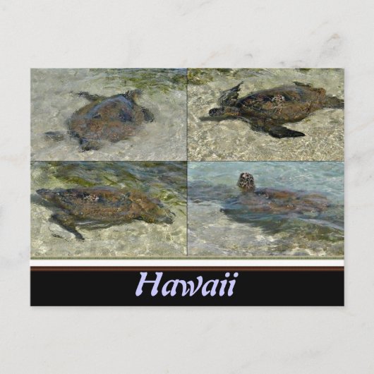 Briefkaart van de Hawaiitische Zee (Voorkant)