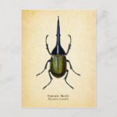 Briefkaart van de hercules kever (Voorkant)