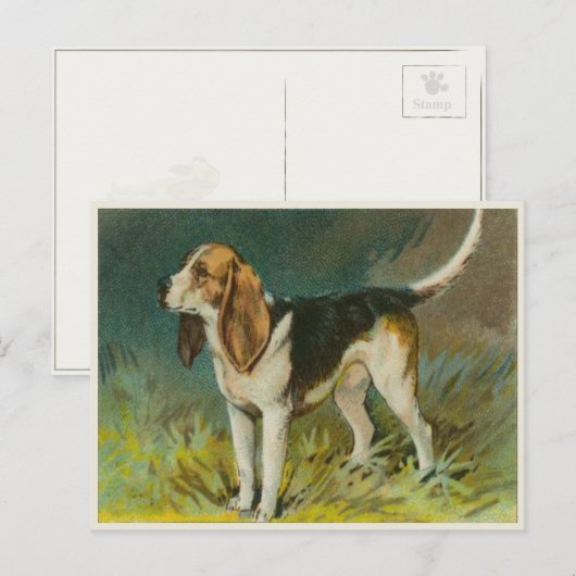  Briefkaart van de hond met de staart (Voorkant / Achterkant)