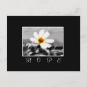 briefkaart van de hoop floral (Voorkant)