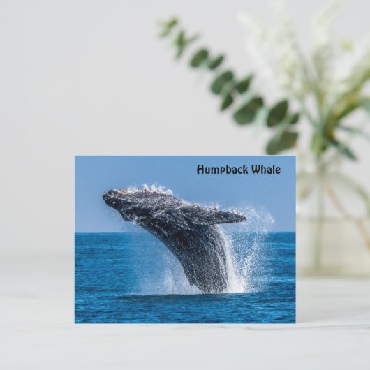 Briefkaart van de Humpback-walvis (Staand voorkant)