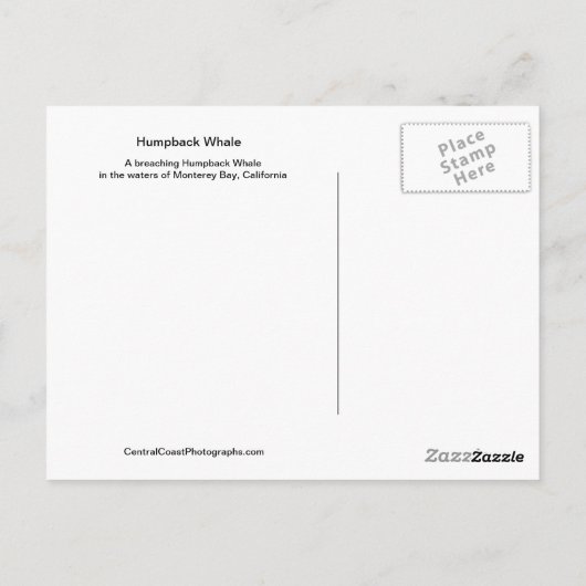 Briefkaart van de Humpback-walvis (Achterkant)