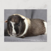 Briefkaart van de ijsberg (Voorkant)