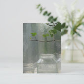 Briefkaart van de kas (Staand voorkant)