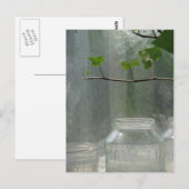 Briefkaart van de kas (Voorkant / Achterkant)