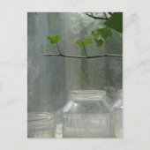 Briefkaart van de kas (Voorkant)