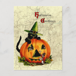 Briefkaart van de Kat van vintage Halloween het