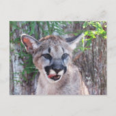 Briefkaart van de kleine coupaar (Voorkant)