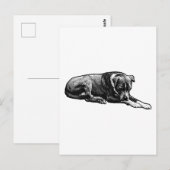 Briefkaart van de komische nerf (Voorkant / Achterkant)