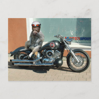 Briefkaart van de kruipwagen