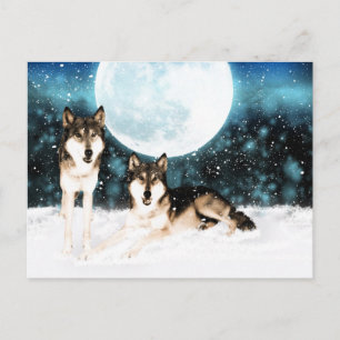 briefkaart van de kunstwolf uit moonalke winters