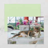 briefkaart van de lentekat (Voorkant / Achterkant)