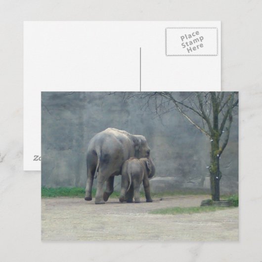 Briefkaart van de liefdesliefhebber van moeder (Voorkant / Achterkant)