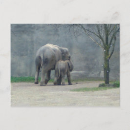 Briefkaart van de liefdesliefhebber van moeder