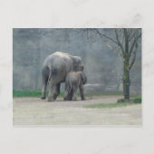 Briefkaart van de liefdesliefhebber van moeder (Voorkant)