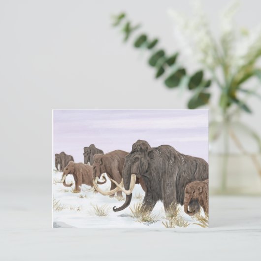 Briefkaart van de Mammoth Family (Staand voorkant)