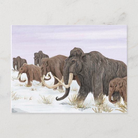 Briefkaart van de Mammoth Family (Voorkant)