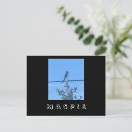 Briefkaart van de Natuur Magpie