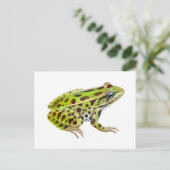 Briefkaart van de Noordelijke kever (Staand voorkant)