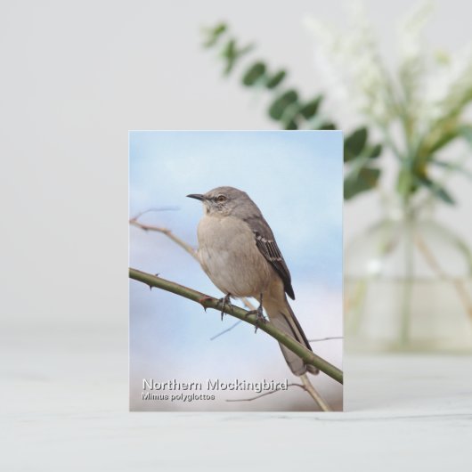 Briefkaart van de noordpoolvogel (Staand voorkant)