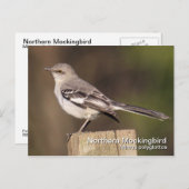 Briefkaart van de noordpoolvogel