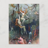  Briefkaart van de Nymphs (Voorkant)