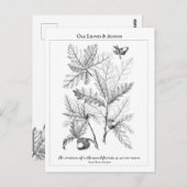Briefkaart van de offerte van eikenbladeren en ei (Voorkant / Achterkant)