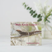 Briefkaart van de olieramp Florida (Staand voorkant)