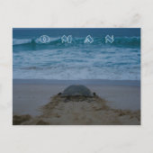 Briefkaart van de Omaanse schildpad (Voorkant)