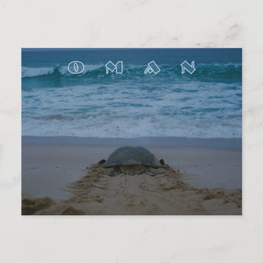 Briefkaart van de Omaanse schildpad (Voorkant)