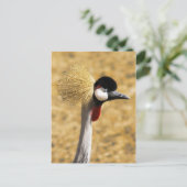 Briefkaart van de oost-Afrikaanse kroonkraan (Staand voorkant)