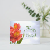 Briefkaart van de Oranje lelie van Pasen (Staand voorkant)
