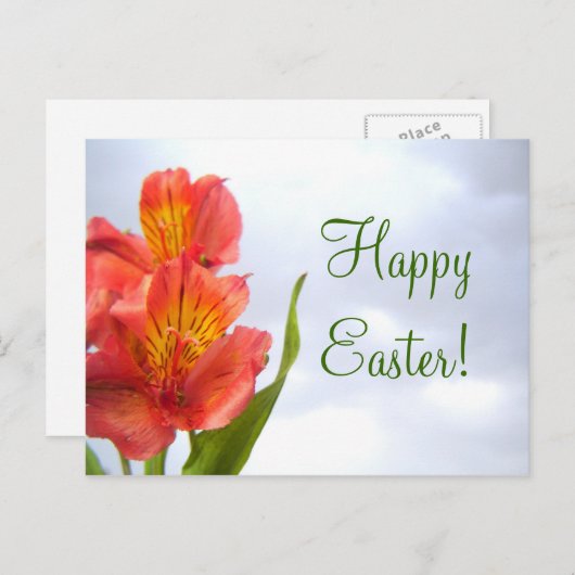 Briefkaart van de Oranje lelie van Pasen (Voorkant / Achterkant)