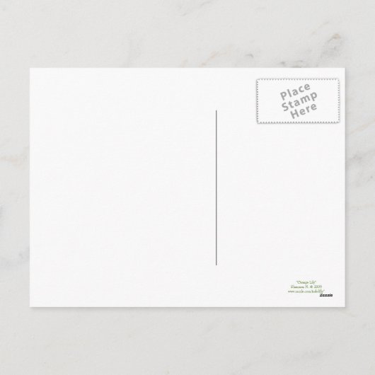 Briefkaart van de Oranje lelie van Pasen (Achterkant)