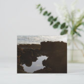 Briefkaart van de Oregon Coast Cloud Pool (Staand voorkant)
