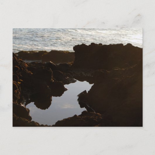 Briefkaart van de Oregon Coast Cloud Pool (Voorkant)