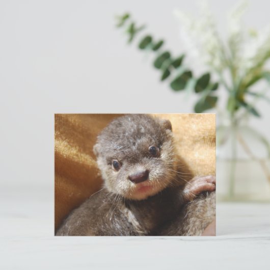 Briefkaart van de orphaned otter (Staand voorkant)
