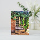 Briefkaart van de oude wijngaarden op de Bench Ivy (Staand voorkant)