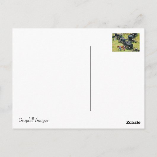 Briefkaart van de Partij van de Partij van de Bugg (Achterkant)