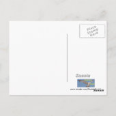 Briefkaart van de pelicaanse tak (Achterkant)