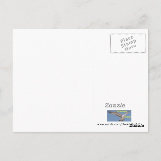 Briefkaart van de pelicaanse tak (Achterkant)