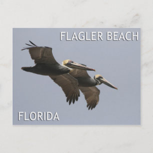 Briefkaart van de Pelican Paar