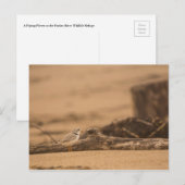 Briefkaart van de pijplenknop (Voorkant / Achterkant)